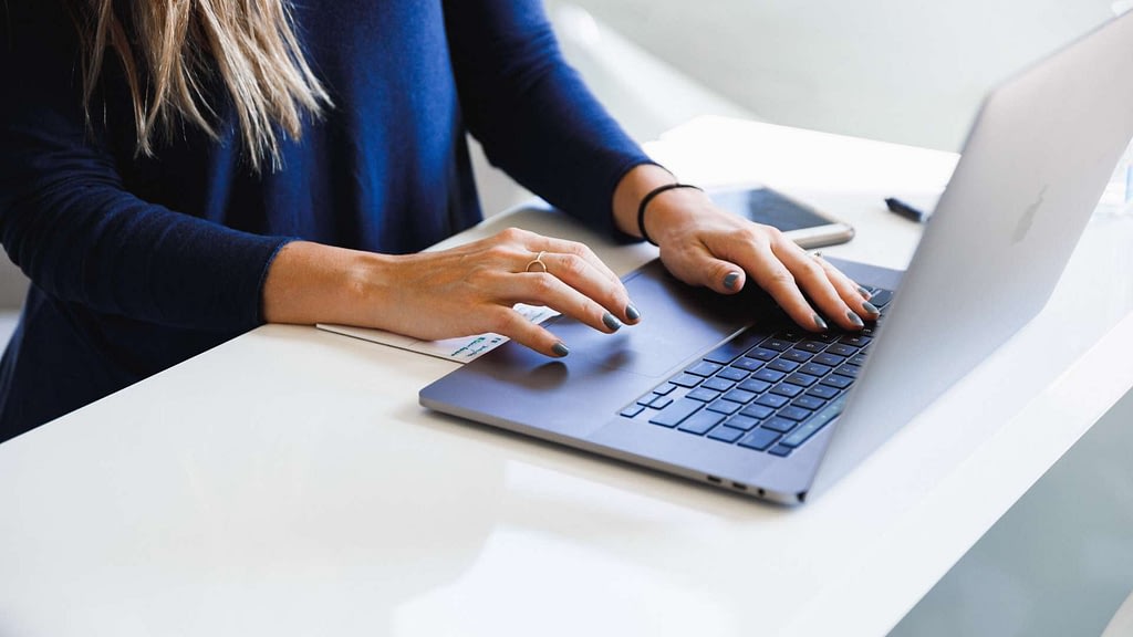 accountant working on a laptop