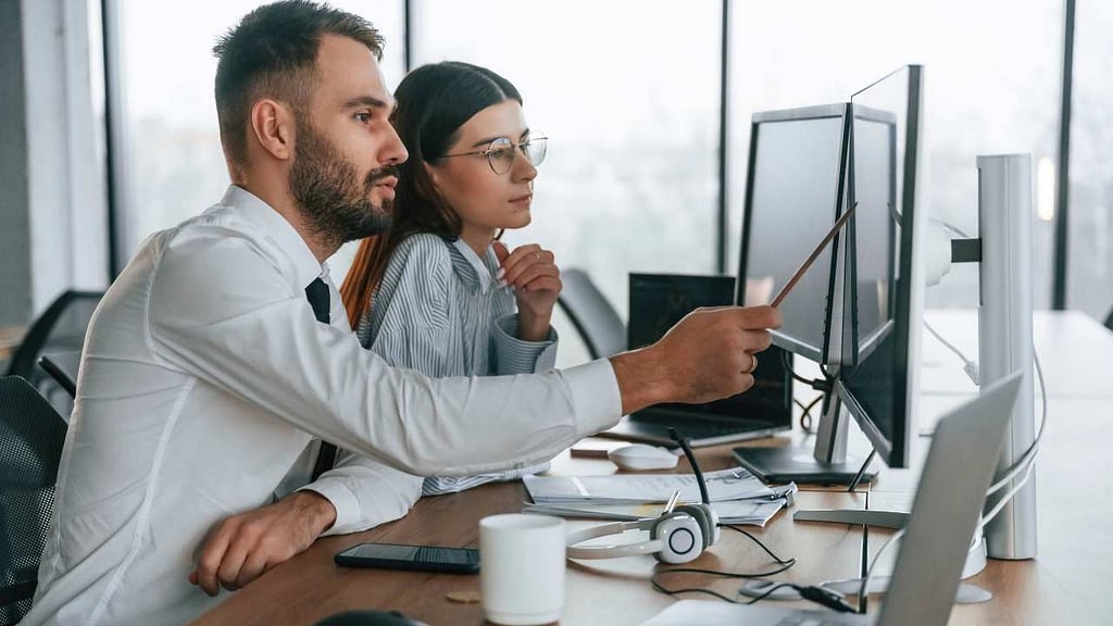 Finance professionals in the US building custom financial models for strategic planning