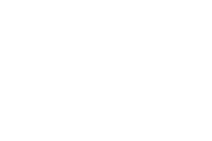 fast company logo