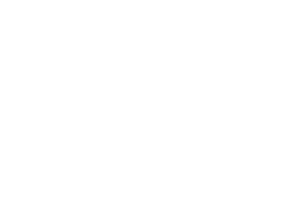 sapsa logo